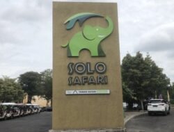 Harga Tiket Masuk Solo Safari Terbaru untuk Kunjungan Maret 2025, Intip Daya Tariknya