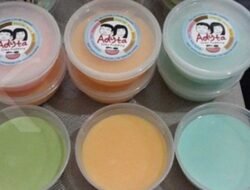 Bisnis Silky Pudding Murah, Modal Rp45.000 Bisa Untung Banyak, Cek Resepnya