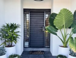 10 Tanaman Pot Besar Tren Terbaru untuk Halaman Rumah!