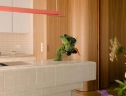 Inspirasi Hunian Estetik dari Apartemen Food Blogger