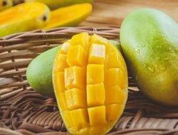 Mangga Sebabkan Diabetes Parah? Mitos atau Fakta?