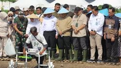 Cirebon Jadi Laboratorium Pertanian Digital Nasional